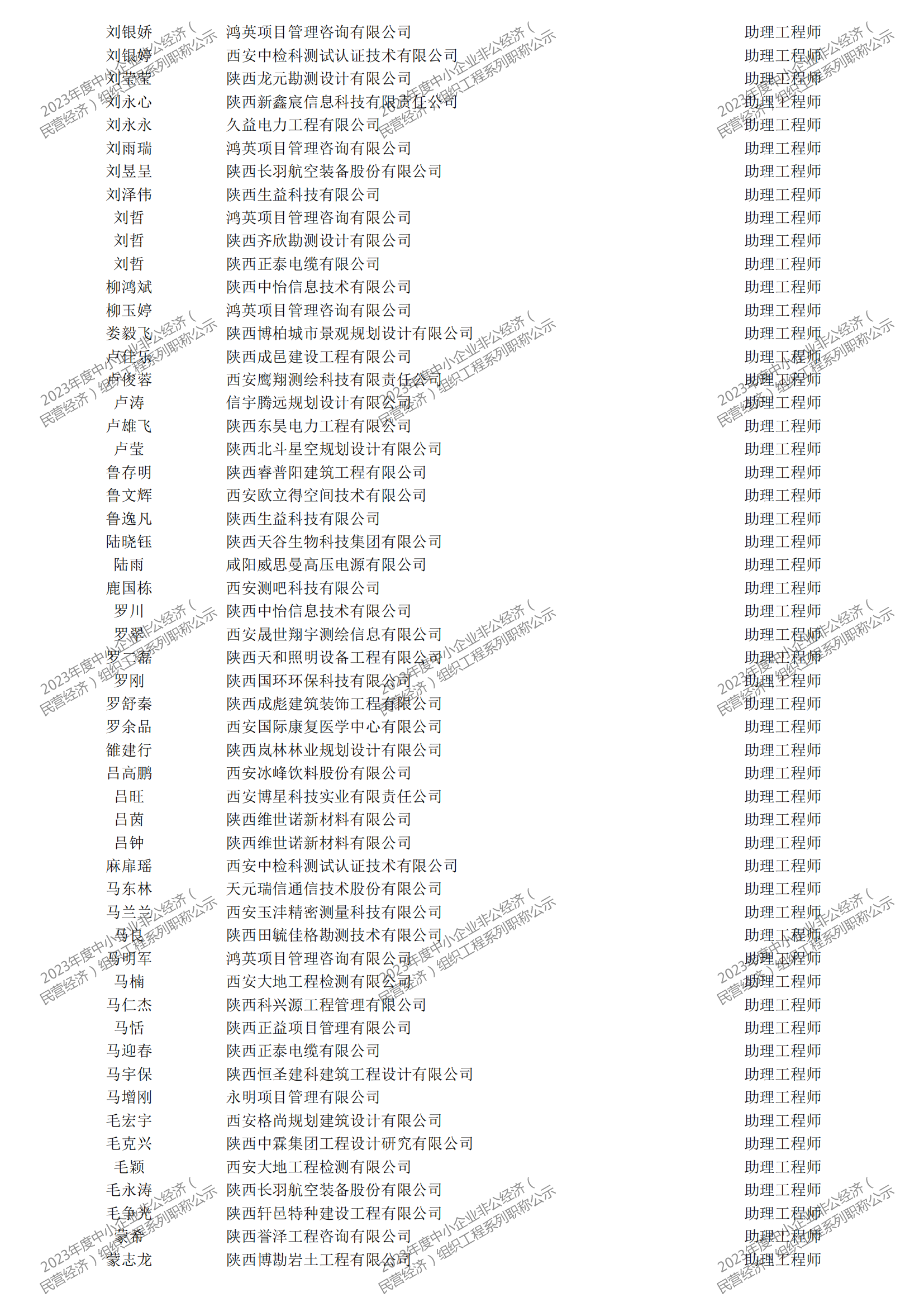 2023年度中小企業(yè)非公經(jīng)濟（民營經(jīng)濟）組織工程系列職稱評審公示_27.png
